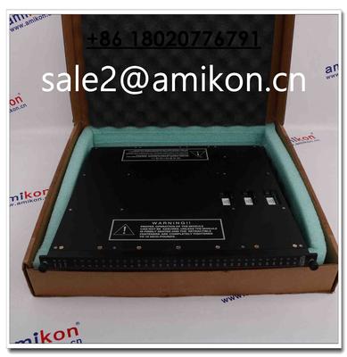 TRICONEX 9760-210 | sales2@amikon.cn | Large In Stock